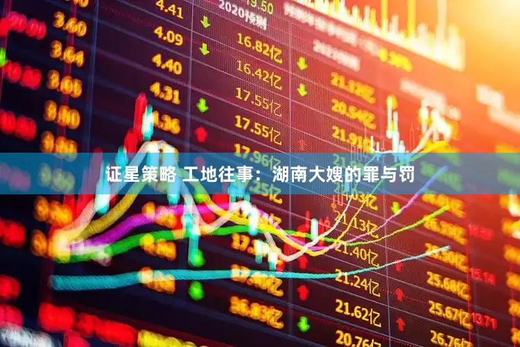 证星策略 工地往事：湖南大嫂的罪与罚